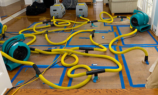 Professional Water Damage Repair technician working in USA